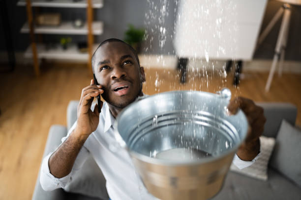  Delano, MN Water damage restoration Pros
