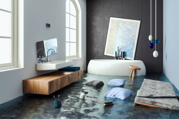Best Water damage cleanup near me  in Delano, MN