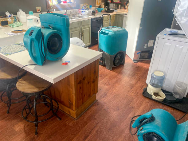 Best Flood damage cleanup  in Delano, MN
