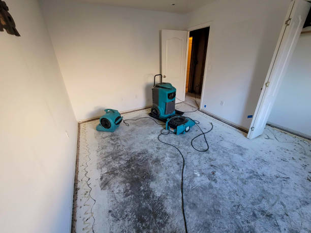 Best Carpet water damage restoration  in Delano, MN