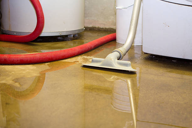 Best Emergency water damage restoration  in Delano, MN