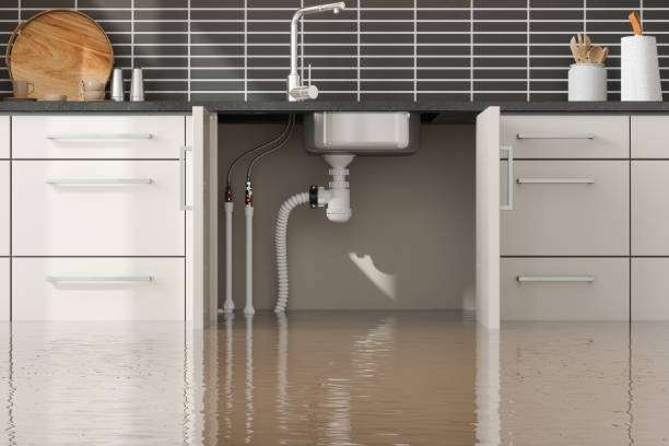 Best Residential water damage restoration  in Delano, MN