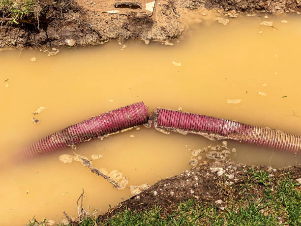 Best Water damage restoration near me  in Delano, MN