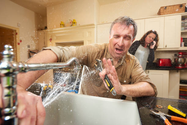 Best Basement water damage restoration  in Delano, MN